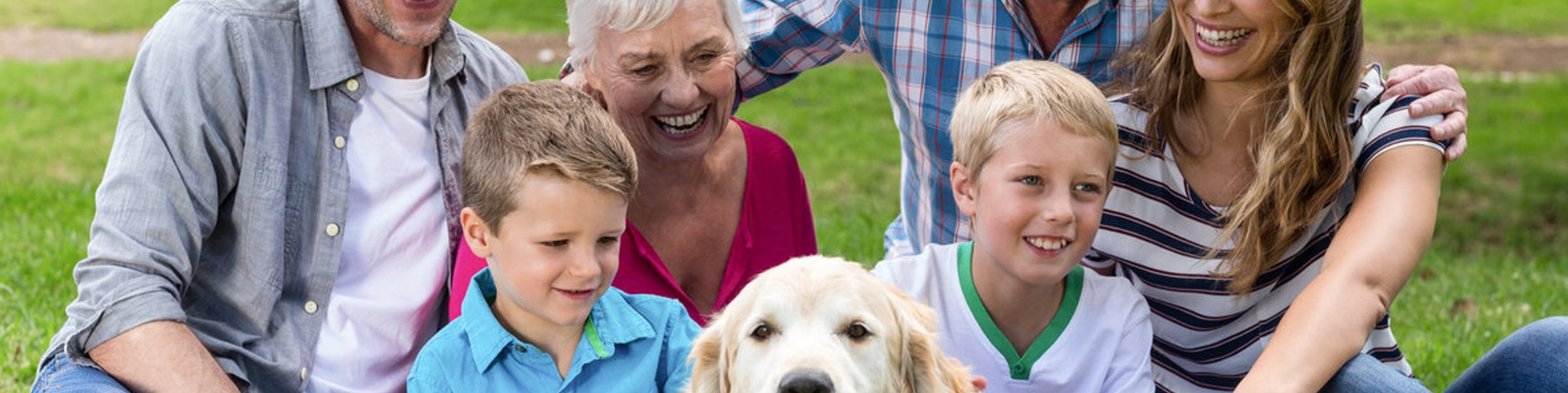 family walking their dog in a park
