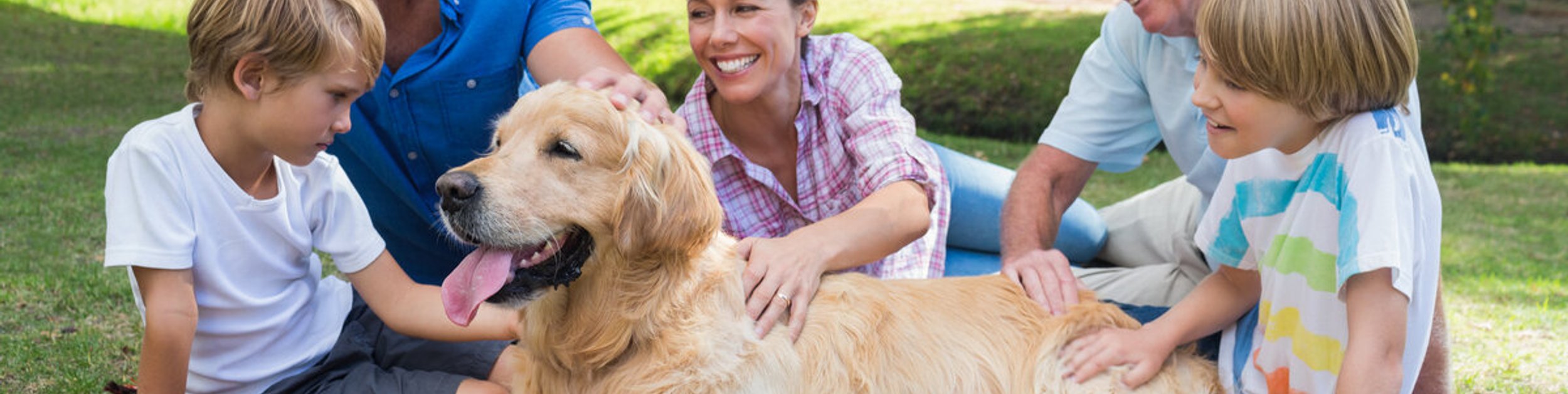 family in a park with their dog