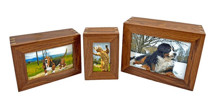three solid sheesham photo frame urns with brass corner splines, holding pictures of two dogs and a cat