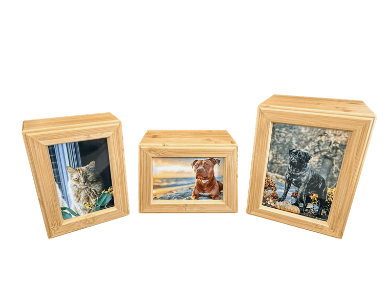 three natural bamboo photo urns with wide rounded frames around each pet's picture