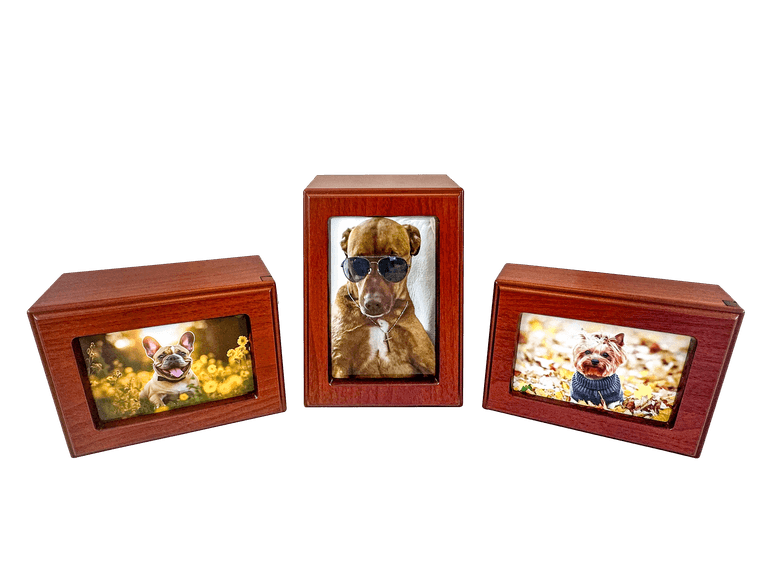 three cherry-finish photo urns holding pictures of a bulldog, a shepherd mix, and a yorkie