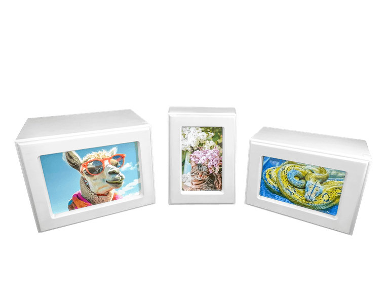 three white-finish photo urns with pictures set into the front panel