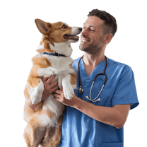 veterinarian caring for a pet