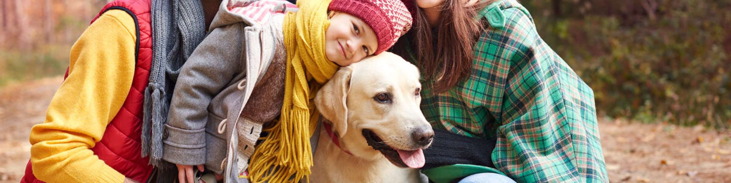 owner holding their dog